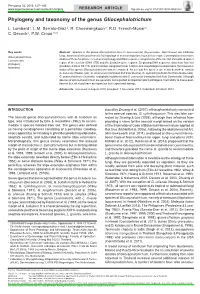 Phylogeny and Taxonomy of the Genus &lt;I&gt;Gliocephalotrichum&lt;/I&gt;