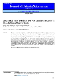 Comparative Study of Present and Past Cladoceran Diversity In