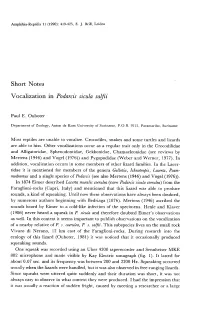 Short Notes Vocalization in Podarcis Sicula Salfii Paul E. Ouboter