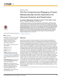The First Comprehensive Phylogeny of Coptis (Ranunculaceae) and Its Implications for Character Evolution and Classification