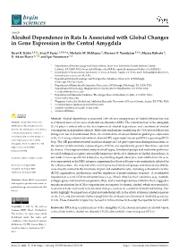 Alcohol Dependence in Rats Is Associated with Global Changes in Gene Expression in the Central Amygdala