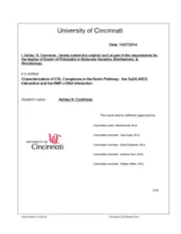 Characterization of CSL Complexes in the Notch Pathway: the Su(H)-NICD Interaction and the RBP-J-DNA Interaction