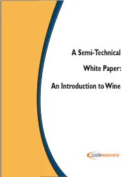 A Semi-Technical White Paper: an Introduction