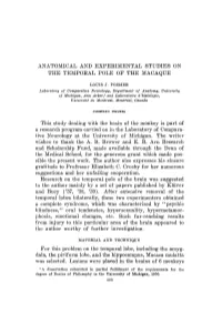 Anatomical and Experimental Studies on the Temporal Pole of the Macaque