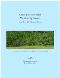 Casco Bay Shorebird Monitoring Project: Year-Three (2011) Progress Report