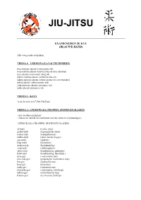 Exameneisen Jiu-Jitsu 2E