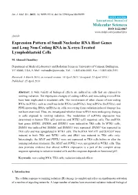 Expression Pattern of Small Nucleolar RNA Host Genes and Long Non-Coding RNA in X-Rays-Treated Lymphoblastoid Cells