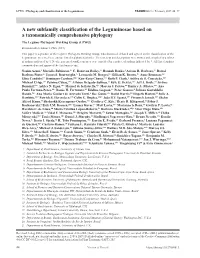 A New Subfamily Classification of The