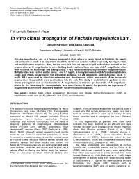 In Vitro Clonal Propagation of Fuchsia Magellanica Lam