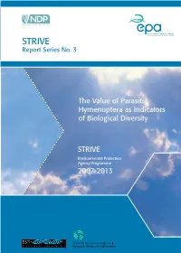 STRIVE Report Series No