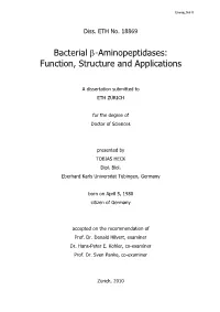 Bacterial Β-Aminopeptidases: Function, Structure and Applications