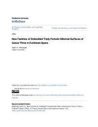 New Families of Embedded Triply Periodic Minimal Surfaces of Genus Three in Euclidean Space