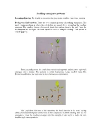 Seedling Emergence Patterns
