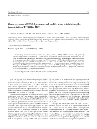 Overexpression of EPS8L3 Promotes Cell Proliferation by Inhibiting the Transactivity of FOXO1 in HCC