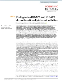 Endogenous IQGAP1 and IQGAP3 Do Not Functionally Interact with Ras Chase J