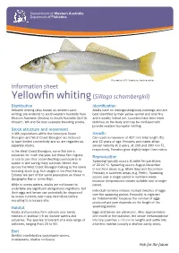 Information Sheet