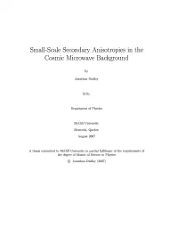 Small-Scale Secondary Anisotropics in the Cosmic Microwave Background