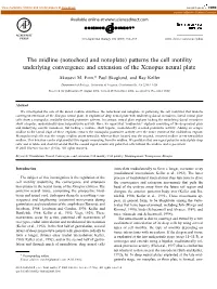 The Midline (Notochord and Notoplate) Patterns the Cell Motility Underlying Convergence and Extension of the Xenopus Neural Plate
