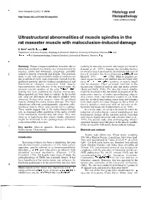 Ultrastructural Abnormalities of Muscle Spindles in the Rat Masseter Muscle with Malocclusion-Induced Damage
