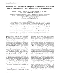 Fission Yeast Hsk1 (Cdc7) Kinase Is Required After Replication Initiation for Induced Mutagenesis and Proper Response to DNA Alkylation Damage