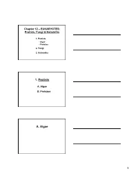 1. Protists A. Algae