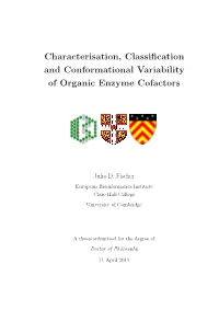 Characterisation, Classification and Conformational Variability Of