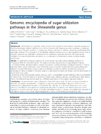 Genomic Encyclopedia of Sugar Utilization Pathways in The