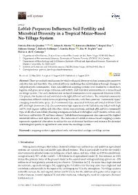 Lablab Purpureus Influences Soil Fertility and Microbial Diversity in A