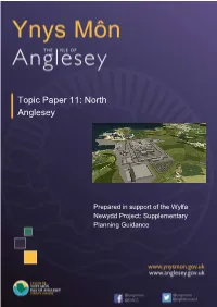 Topic Paper 11: North Anglesey