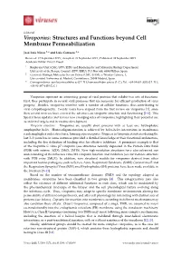 Viroporins: Structures and Functions Beyond Cell Membrane Permeabilization