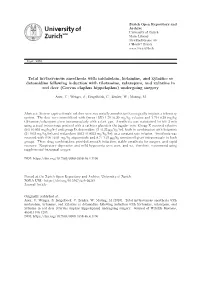 Total Intravenous Anesthesia with Midazolam, Ketamine
