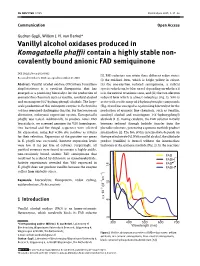 Vanillyl Alcohol Oxidases Produced in Komagataella Phaffii Contain a Highly Stable Non- Covalently Bound Anionic FAD Semiquinone