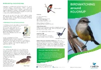 BIRDWATCHING Around KOJONUP