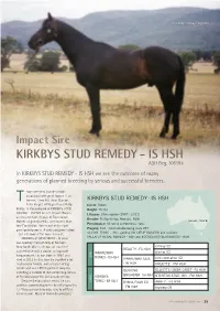 Kirkbys Stud Remedy