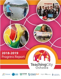 Teachingcity 2018-2019 Progress Report