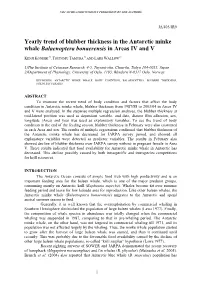 Yearly Trend of Blubber Thickness in the Antarctic Minke Whale Balaenoptera Bonaerensis in Areas IV and V