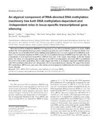 An Atypical Component of RNA-Directed DNA Methylation