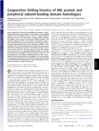Cooperative Folding Kinetics of BBL Protein and Peripheral Subunit-Binding Domain Homologues