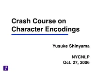 Crash Course on Character Encodings