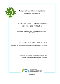Synthesis and Biological Evaluation