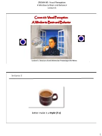 CROWN 85: Visual Perception: a Window to Brain and Behavior Lecture 5