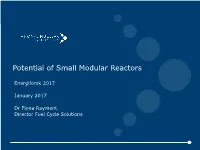 Potential of Small Modular Reactors