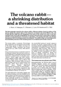 The Volcano Rabbit—A Shrinking Distribution and a Threatened Habitat