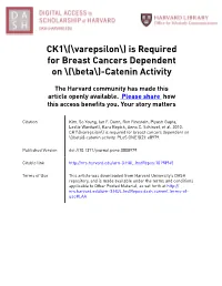 CK1\(\Varepsilon\) Is Required for Breast Cancers Dependent on \(\Beta\)-Catenin Activity