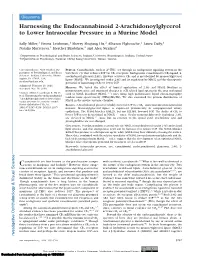 Harnessing the Endocannabinoid 2-Arachidonoylglycerol to Lower Intraocular Pressure in a Murine Model