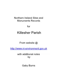 Killesher Scheduled Monuments: Gaby Burns
