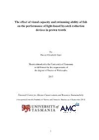 The Effect of Visual Capacity and Swimming Ability of Fish on the Performance of Light-Based Bycatch Reduction Devices in Prawn Trawls