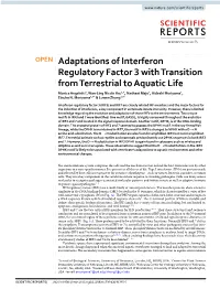 Adaptations of Interferon Regulatory Factor 3 with Transition from Terrestrial to Aquatic Life