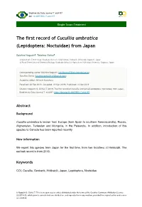 The First Record of Cucullia Umbratica (Lepidoptera: Noctuidae) from Japan