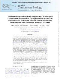Worldwide Distribution and Depth Limits Of